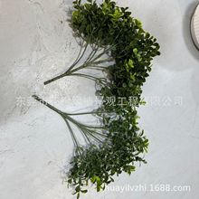 �����ľ�����ͩ���S����������٘����֦�~�����������