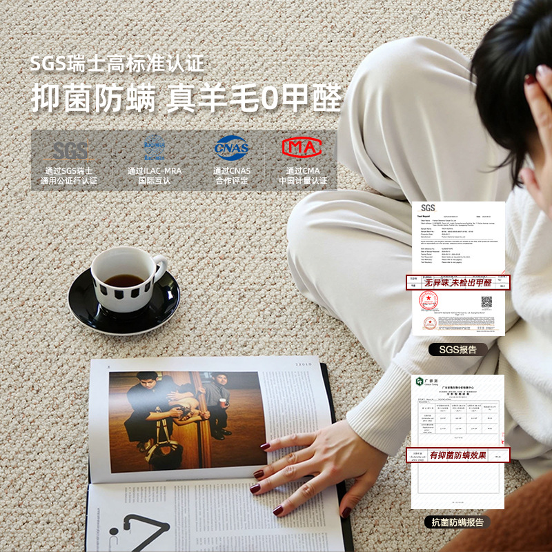 Alfombra de sala de estar estilo ins minimalista engrosada color sólido, resistente a la suciedad, impermeable, limpiable y desechable, alfombrilla de dormitorio personalizada