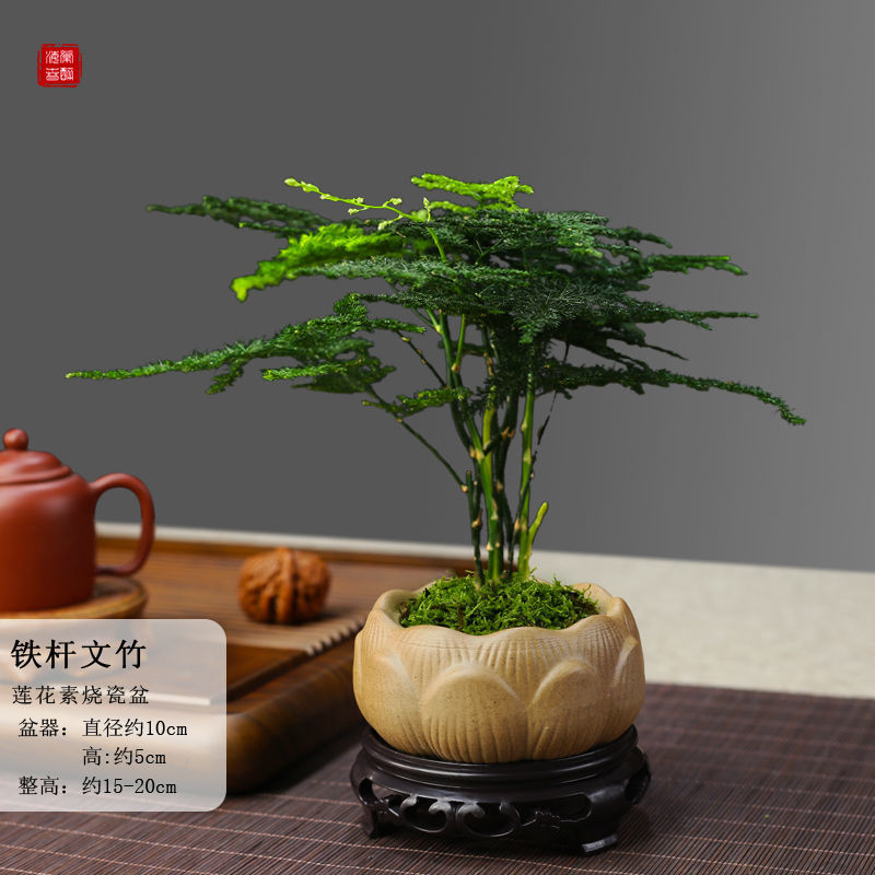 a682968b-54a2-4455-a3e6-1db7b7d0125e.jpe