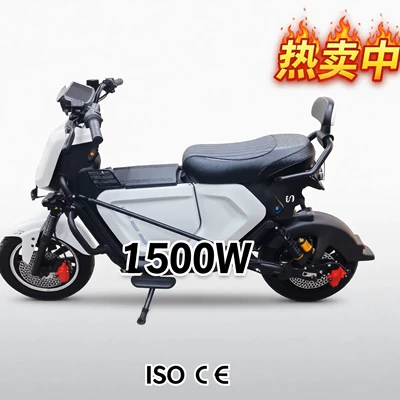 Foreign Trade Ub Electric Motorcycles, Elektrikli motosikletlər