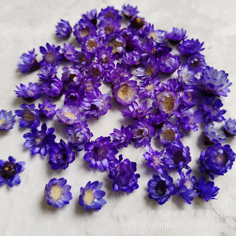 Cabeza de flor de estrella brasileña sin varilla flor seca diy mini margarita cristal epoxi relleno decorativo cabeza de flor seca