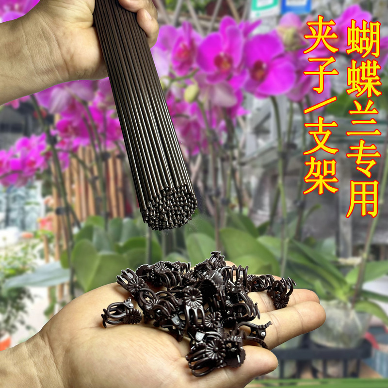 Phalaenopsis Bracket Clip Special Fixed Climbing Vine Shape Wire Anti-Collapse Gardening Flower Plant Support Rod Phalaenopsis Bracket Clip Special Fixed Climbing Vine Shape Wire Anti-Collapse Gardening Flower Plant Support Rod