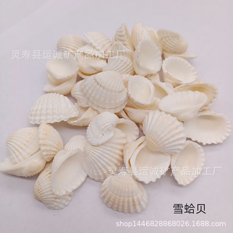 IMG_20210903_145619_副本