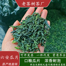 2025新茶老茶树 手工六安瓜片散装批发绿茶茶叶茶厂直销