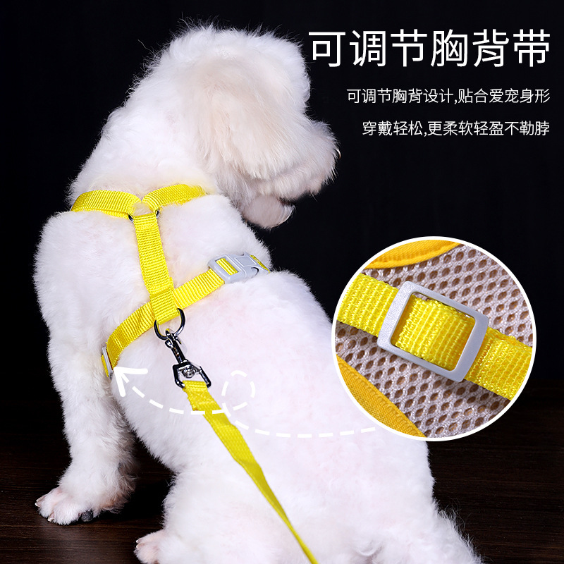 Nuevo pequeño perro Correa transpirable PET pecho Correa chaleco perro cuerda lindo patrón oso Correa