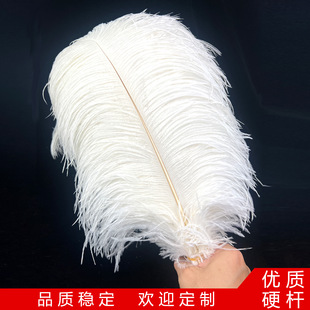 45-50cm�֗U�r�Bë��ë����ë��Y�b���ëDIY��ˇƷ�r�B��ë���l
