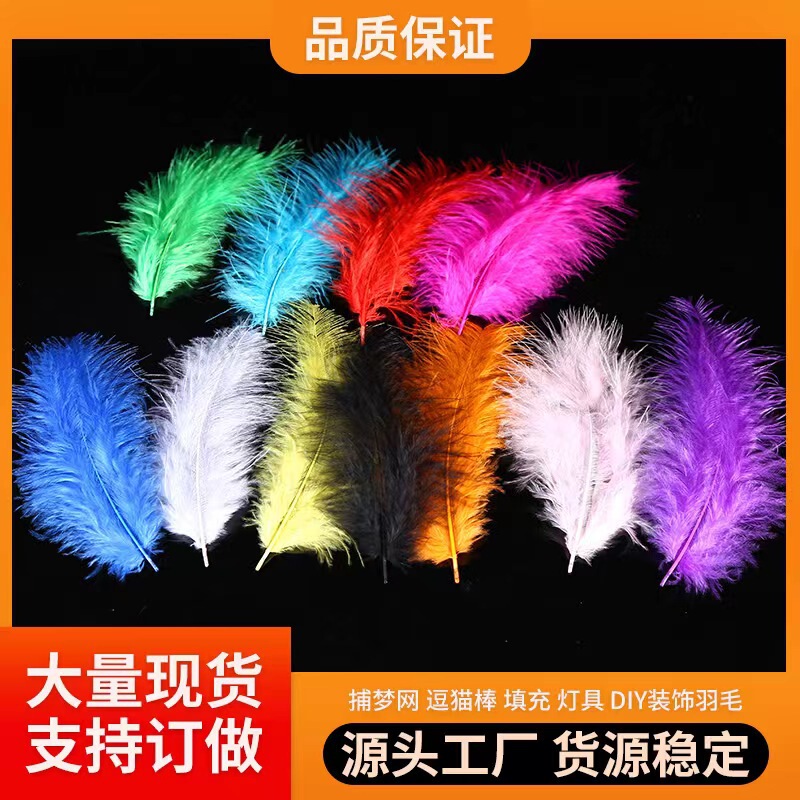 Internet Celebrity Pointed Tail Velvet Feathers Turkey Feathers DIY Earrings Necklace Jewelry Accessories Small Feathers Manufacturer Wholesale