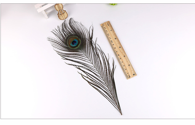 宇略孔雀毛_05.jpg