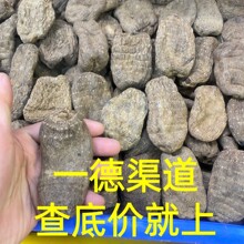 厂家批发大量干货10头西藏乌天麻中药材煲汤泡酒滋补品