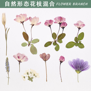 ���Ļ��ϼ� �ɻ�����diyֲ��˱��滨�˱�Ѻ���֙C�������������