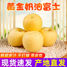 �S�����͸�ʿ���r�Ǽt��ʿ�������O������̨�O�����l��Ʒ�|