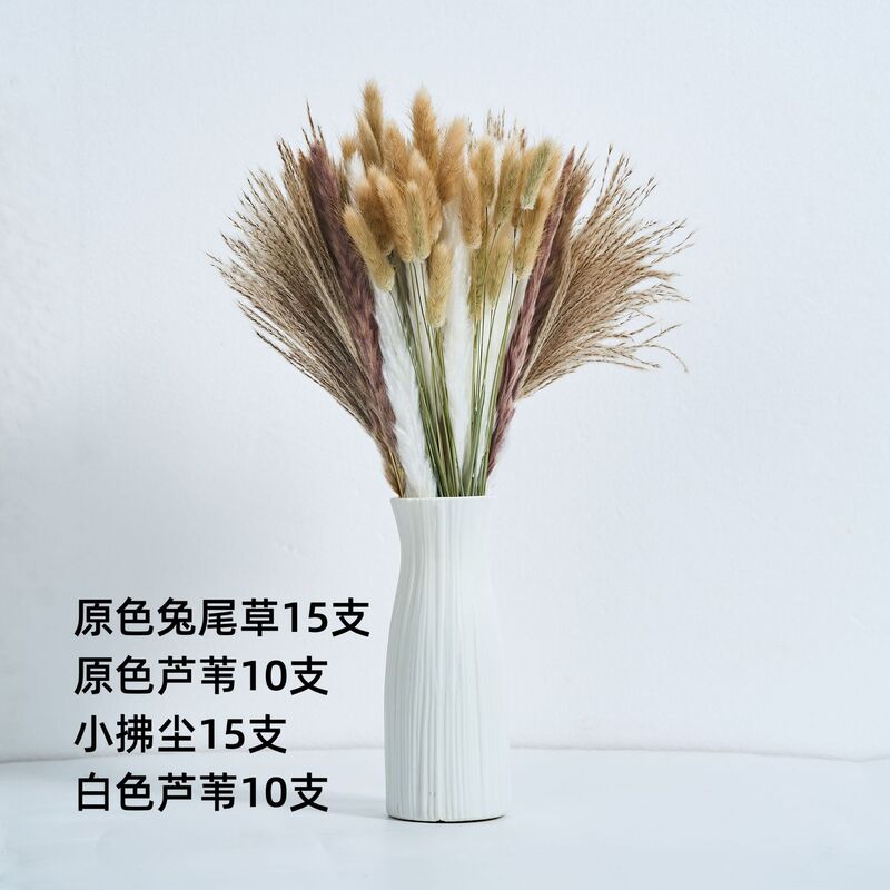 アマゾンはよく売れています。葦の花の花束です。|undefined