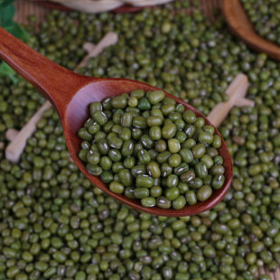 ���l�G�����G��ɳ�G�����r��С��ëë�s���a����ѿ���|��