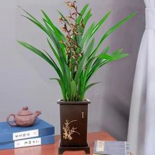 ��������1�²��Ў��������ī�m�����҃��ļ����ඬ���_���m���S