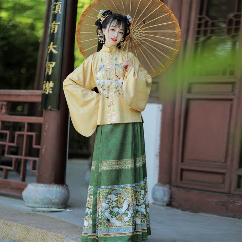 Hanfu для женщин, новинка 2025 года, полный комплект с юбкой мамиан, воротник-стойка в стиле журавля для взрослых, двубортный, рукава пипа, повседневный стиль Мин, весенний и осенний стиль.