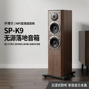 �_����SP-K9�oԴ�����p6.5��l��hifi���е���HIFI������