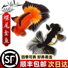 �ͻ��׻���؈��β���~��Ʒ�������~�����^�p�~��ˮ�~�^�p�ڰ���ţ