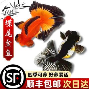 �ͻ��׻���؈��β���~��Ʒ�������~�����^�p�~��ˮ�~�^�p�ڰ���ţ