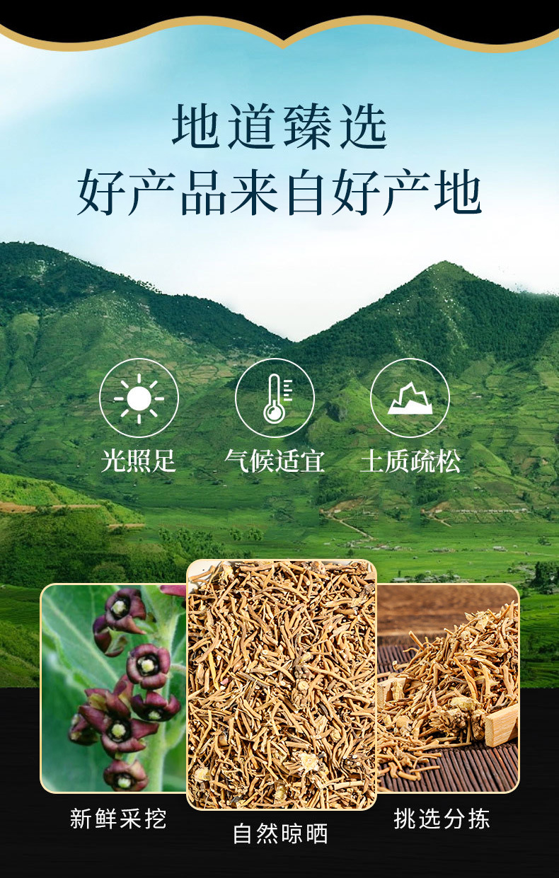 Bai Wei Root (Cynanchum atratum) — Dried Food Herb, Custom Milling Available overview