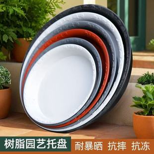 �A�θ���N�����бP�Ӻ��֬���н�ˮ�P�@ˇ�����е����׉|�A�бP