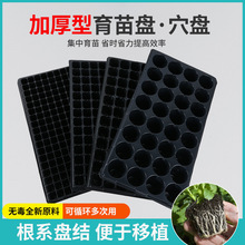 50�׶��⌣������P�Ӻ����������߲˷NֲѨ�P