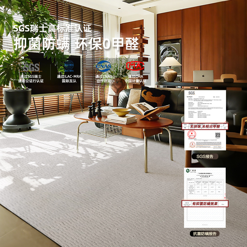 Gran área de alfombra de Guangdong sala de estar cubierta de seda de diatomitas protección ambiental alfombra de cama del dormitorio ultra suave sensación de pies sólidos personalizados