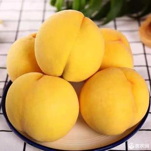 Свежие фрукты в Shaanxi теперь показывают волосы для волос персиковой, хрустящие сладкие и освежающие деревья на дереве, SF прямые волосы могут быть доступны от имени от имени от имени