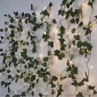ledֲ���~�Ӳʟ��W�����G�~�ٗl��������cֱ�������������Q���l