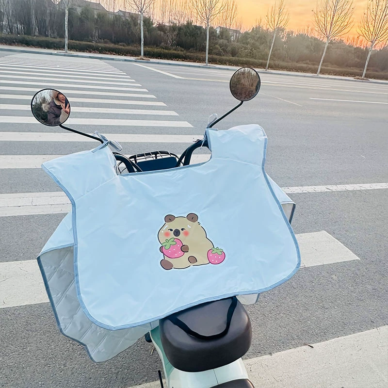 Windproof summer thin waterproof electric car, sun protection