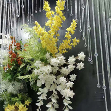 �Gɫϵ �S��ֱ����Y�ñ�������b�c����ɭ���L�� ���Q���滨