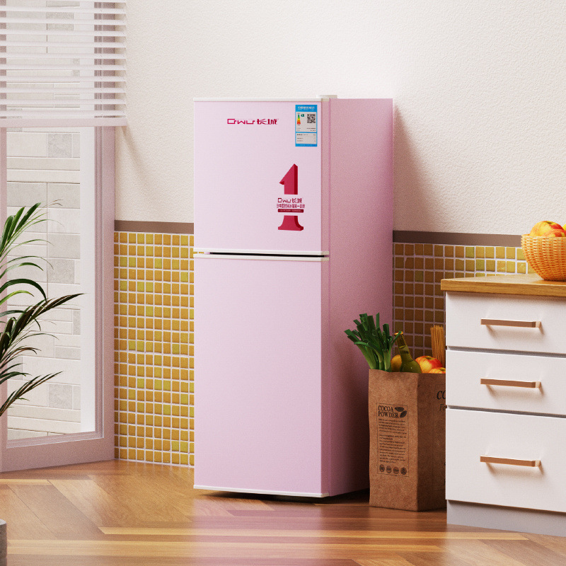 长城复古小冰箱家用小型静音节能双门迷你宿舍二人出租房电冰箱