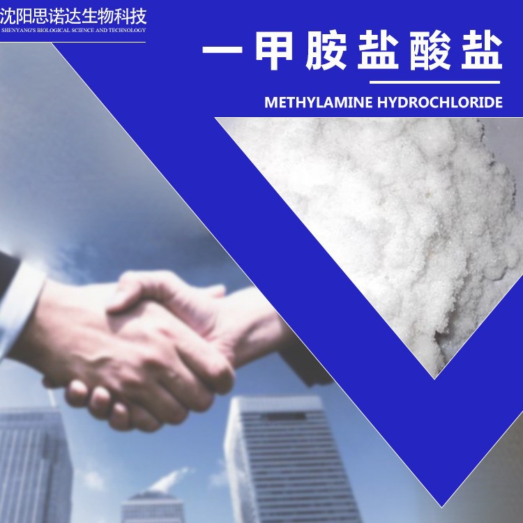 酸盐一甲胺 99% 一甲胺盐酸盐  外贸甲胺盐酸盐