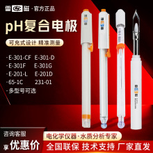 �״�E-201-C/301F��ypHӋ̽�^��������Ӌ�ɳ�ʽ�ͺ�늘OpH늘O