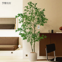 �߶��p�ݷ���Gɫֲ���uצ���҃ȴ��ͷ���ֲ���쾰�Ƶ�����¾��^