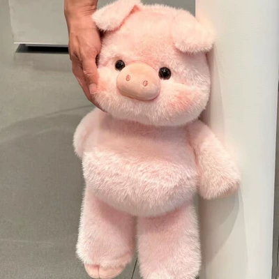 Oyuncaq yastıqlar – Pillow, Foreign Trade Doll - little-fragrant-pig-huhu-45cm028kg