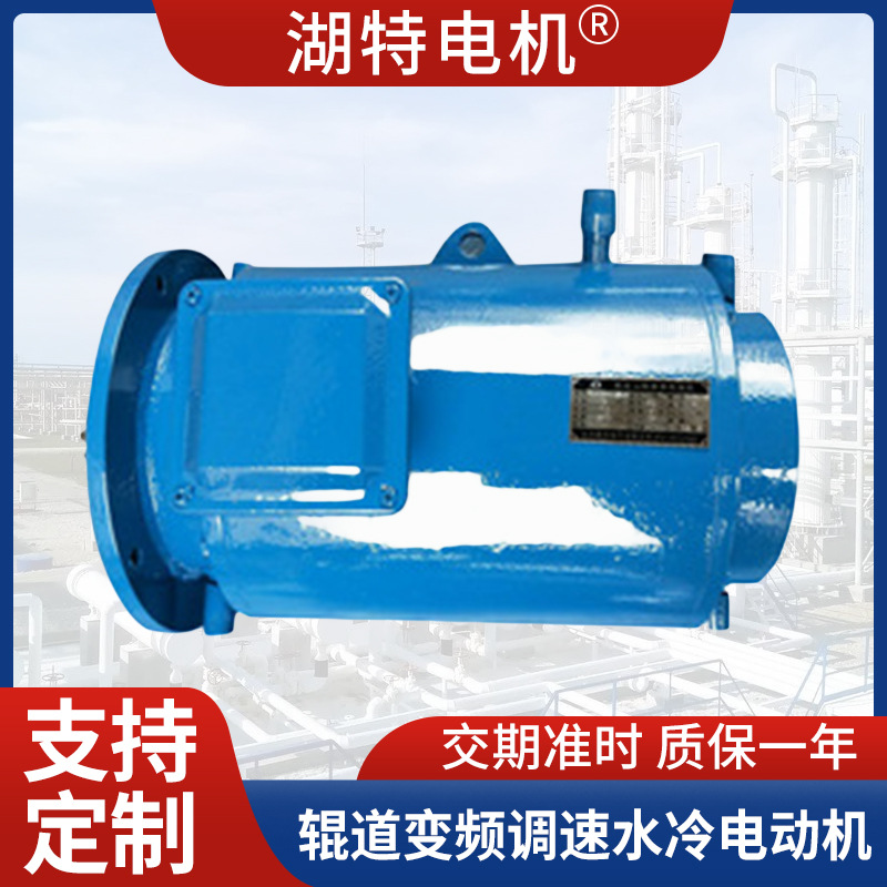 现货供应YGPSL辊道变频调速水冷电动机 湖特品牌