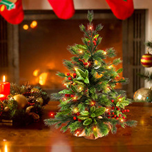 ���R�d��Ʒ�}�Q�������}�Q��[���Ҿ��̈����湝�՚�ղ����b�Ʒ