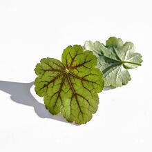 ��P�b���˾�������r���r����ֲ������[�P�͏d���͔[�P���