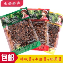 ����خa���d��Ͼ����׾��u���u����ţ�ξ�Ģ����ը���ʳ���l