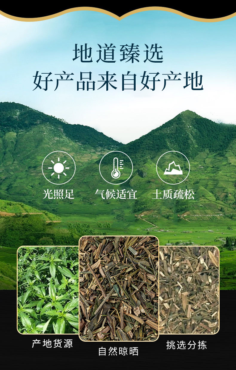 Chuan Xin Lian Powder (Andrographis paniculata) — Bitter Herb Powder, 500g overview
