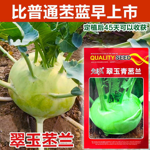 ���{�N�������m�N������m�^���＾���oˮ�����{�̨ͥԺ�߲˷N��
