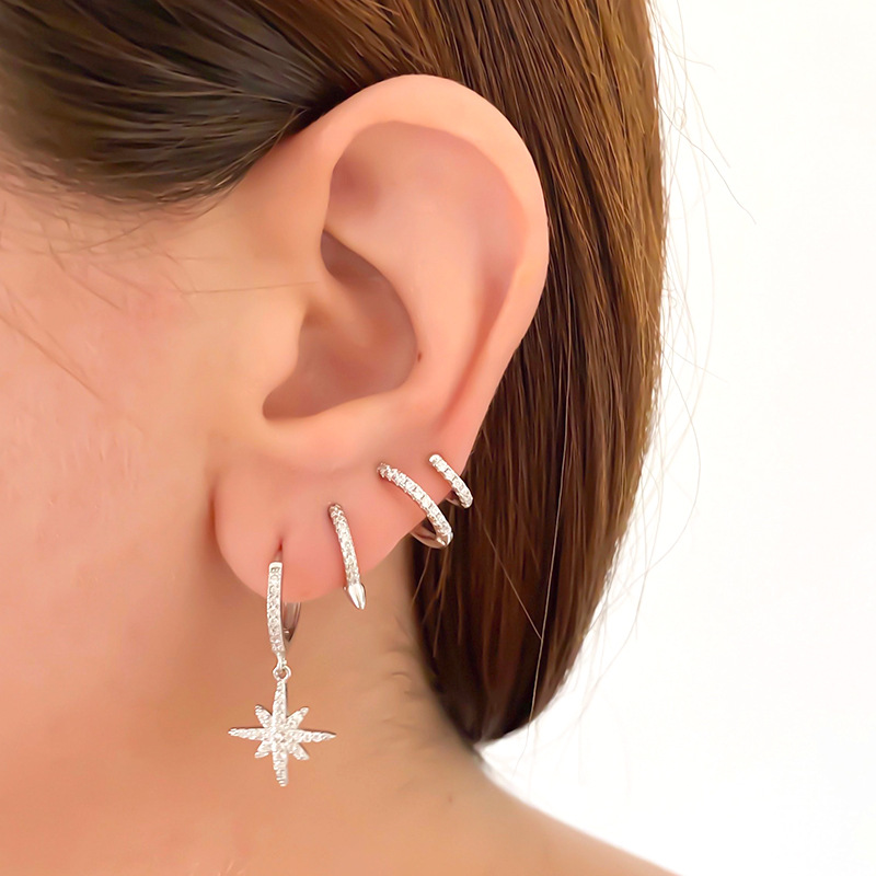 Fashion S925 Silver Needle Double-layer Round Micro-inlaid Zircon Copper Earrings display picture 4