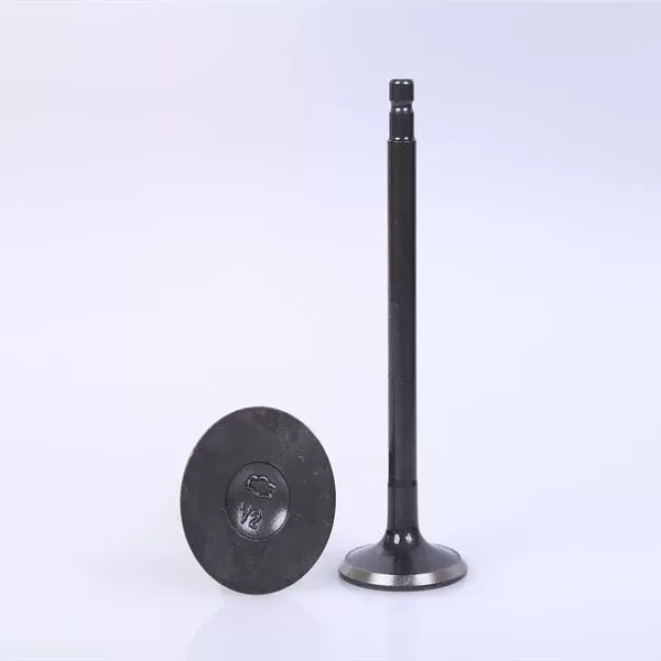 本厂供应SNT1.6进气门048109601E、排气门048109611B