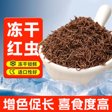 红虫干鱼饲料观赏鱼孔雀鱼热带鱼食小型鱼开口鱼食丰年虾斗鱼鱼粮