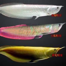 �߲��y���~���w�~����͟Ꭷ�^�p�~�S���t�۽����~��ؔ�~��ˮ�~