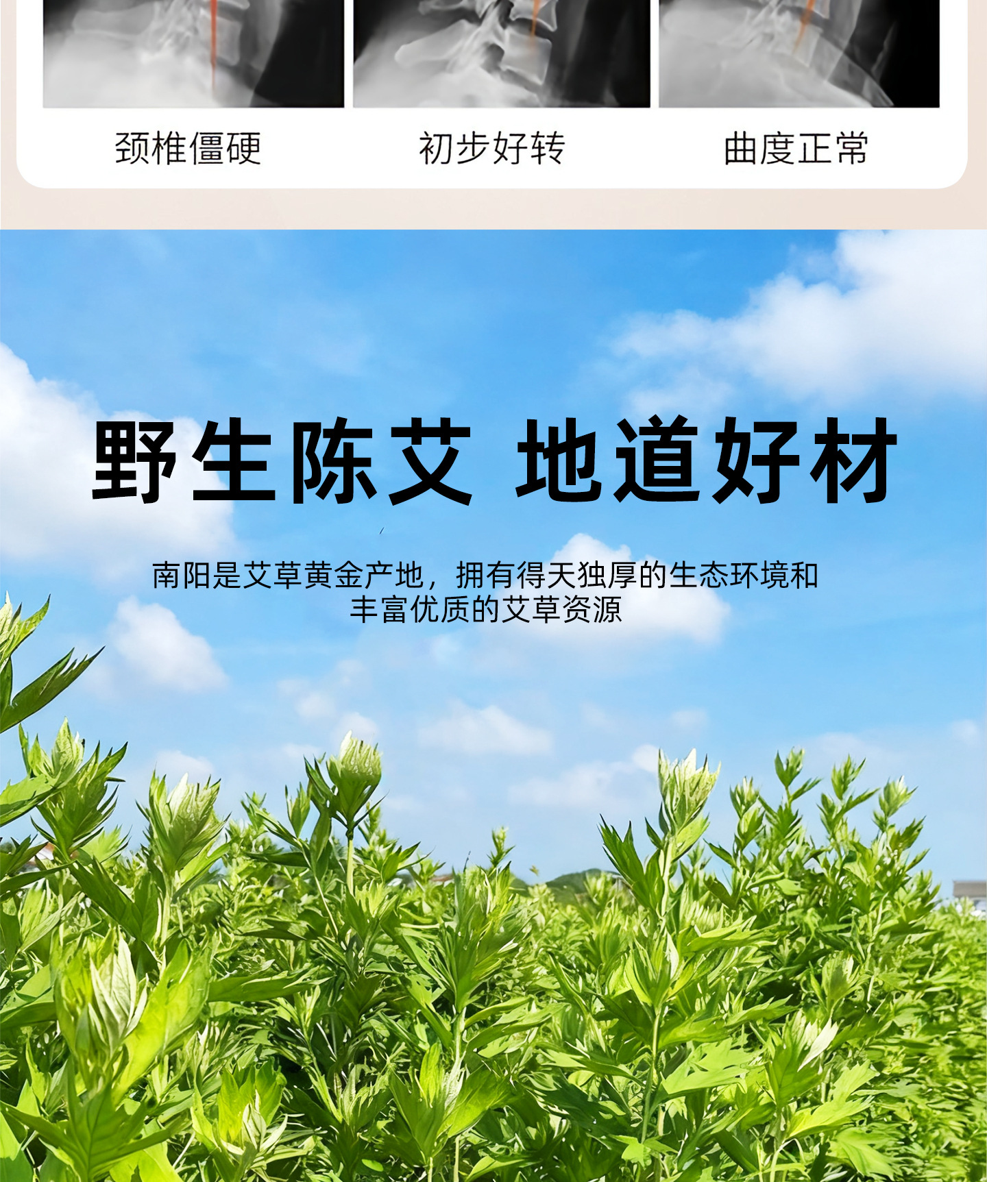 艾草颈椎枕糖果型颈椎枕头单人可拆卸枕头枕芯成人护颈枕头圆柱枕