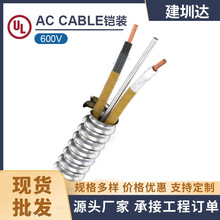 CSA/CUL�J�CAC Cable�����X�z�b��|AC��|�������ô�BX��|