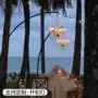 中山充电婚庆庭院吊灯