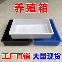 ���ͼӺ񵰰��x�����x��Ӽ�P�������Bֳ��Ӻ�����x�N�x�S���x