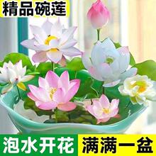 �羳���l�����|���Ђ}�ļ��_��ˮ��˯ɏ�ɻ��N��ɏ�ӷN����ɏ�N��
